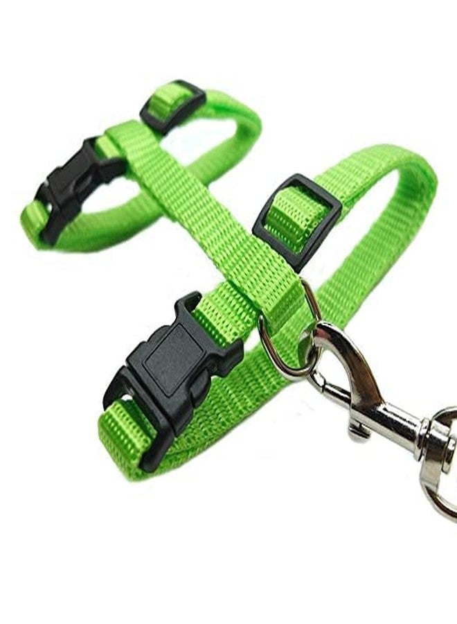 Pups&Pets طقم مقود نايلون من Pups&Pets مع حزام كامل للجسم للقطط، قابل للتعديل ومتين، مناسب للمشي مع الحيوانات الأليفة الصغيرة - أخضر - Image 3